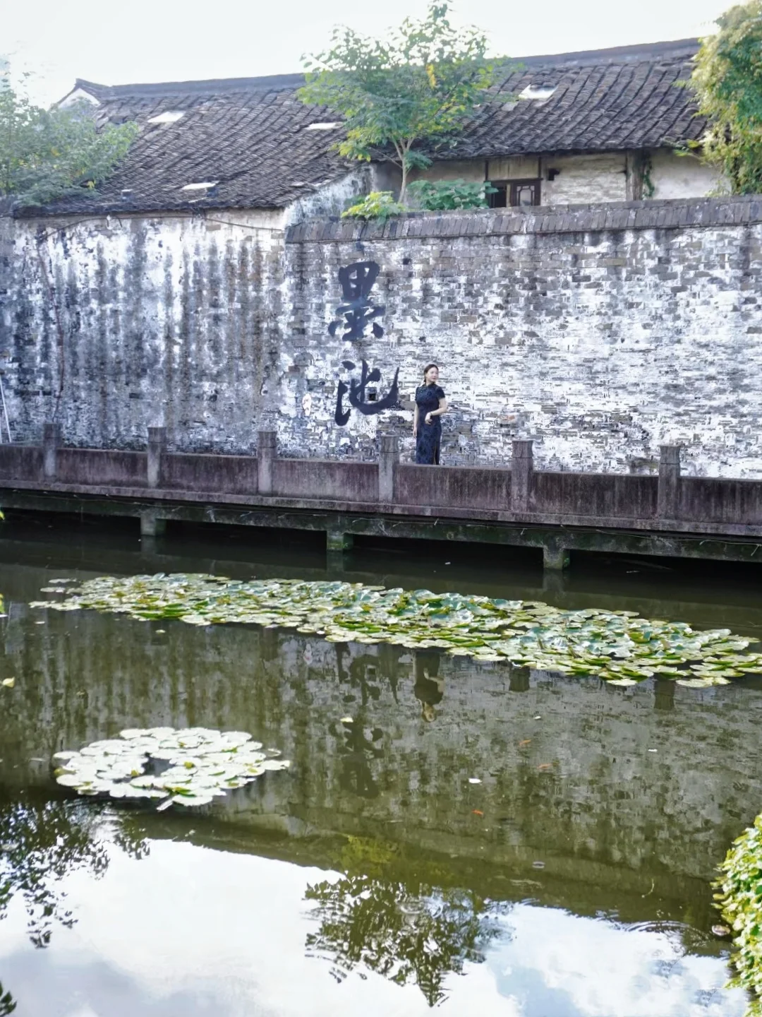 我夸绍兴一万遍，不如你亲自看一眼‼️