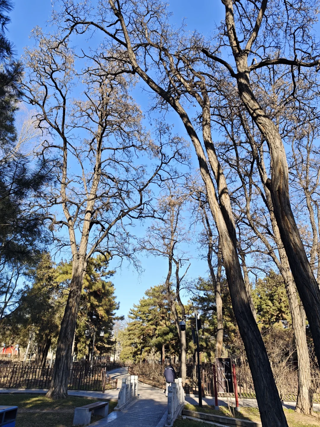 晋祠公园｜太原唐晋博物馆
