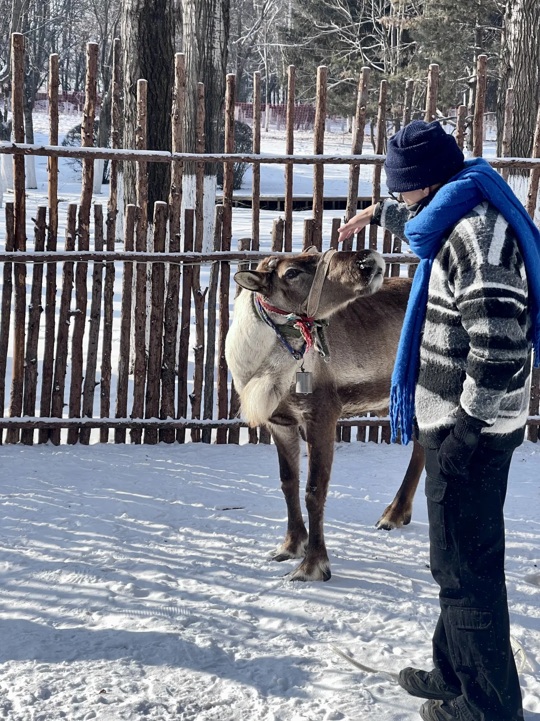 Live图的意义❄️感受长春的绝美冬天
