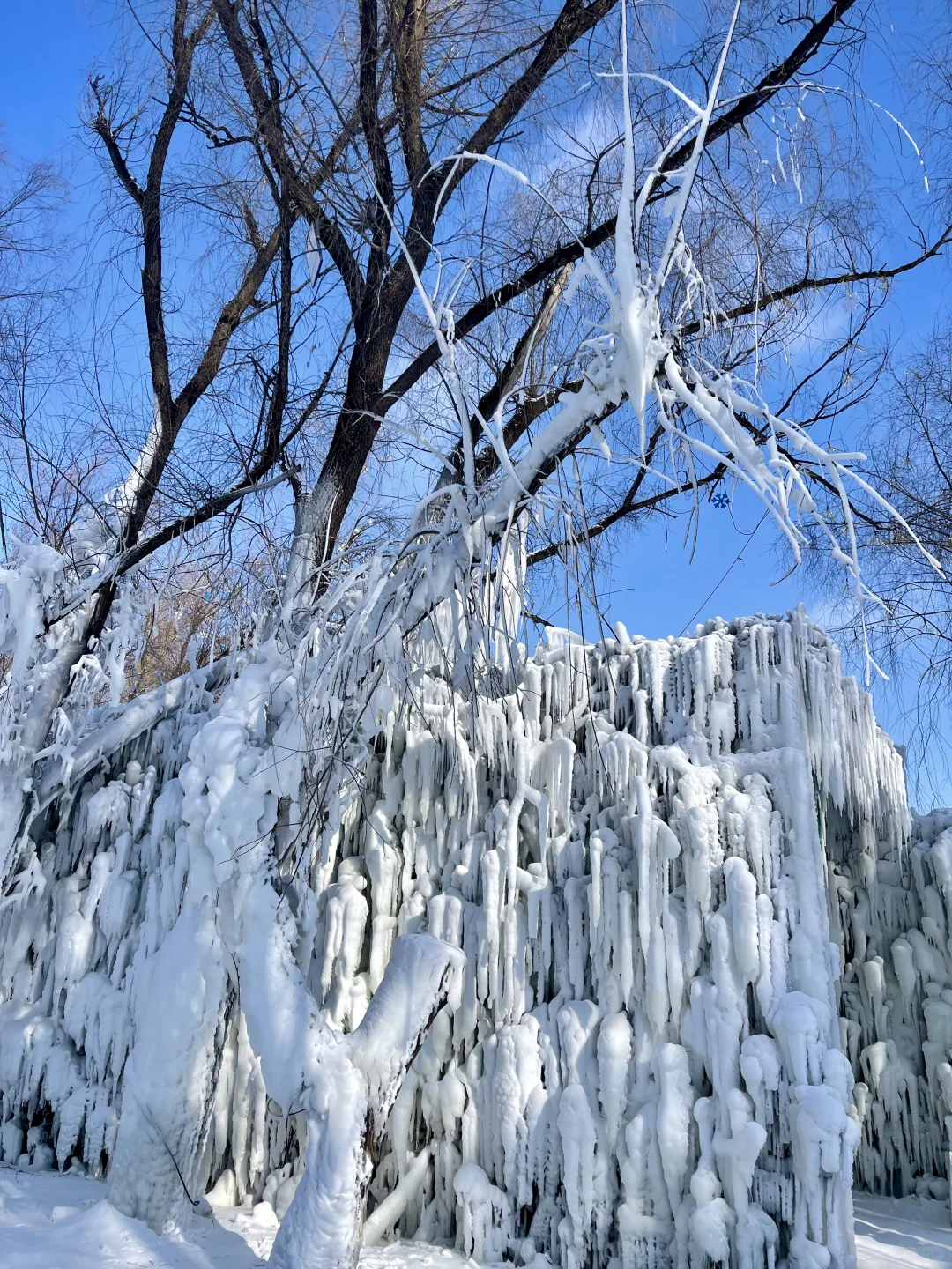 Live图的意义❄️感受长春的绝美冬天