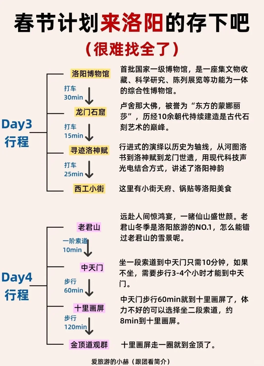 洛阳已回，不坐攻略真心不建议💣来洛阳