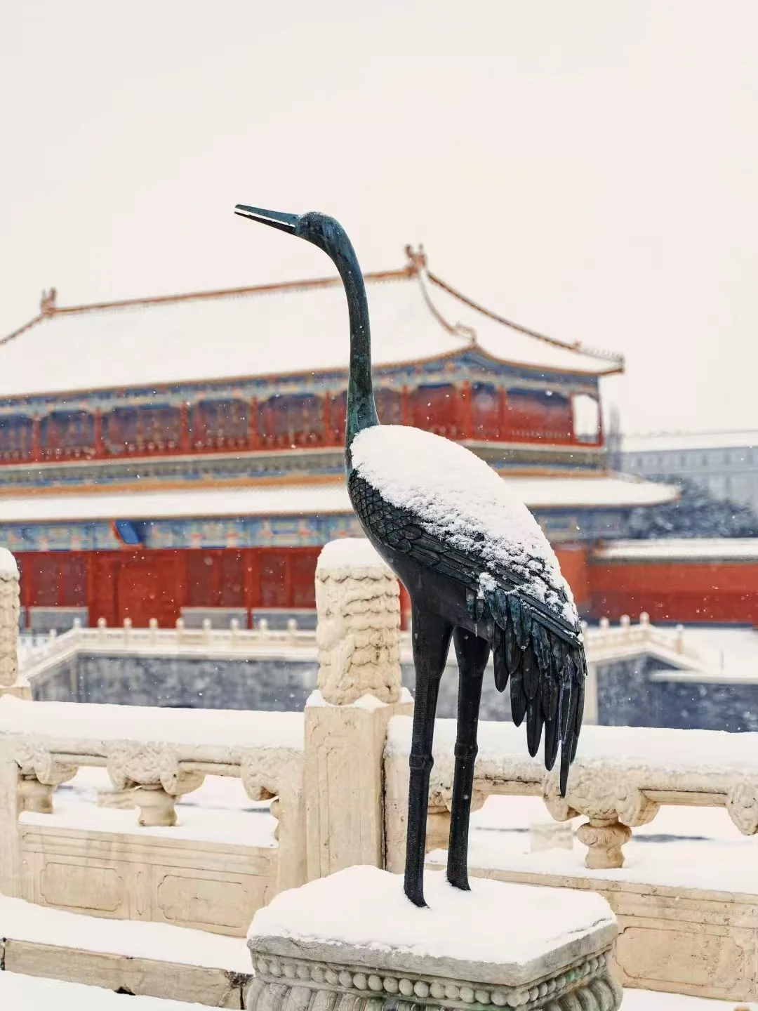 来北京的宝子注意了！