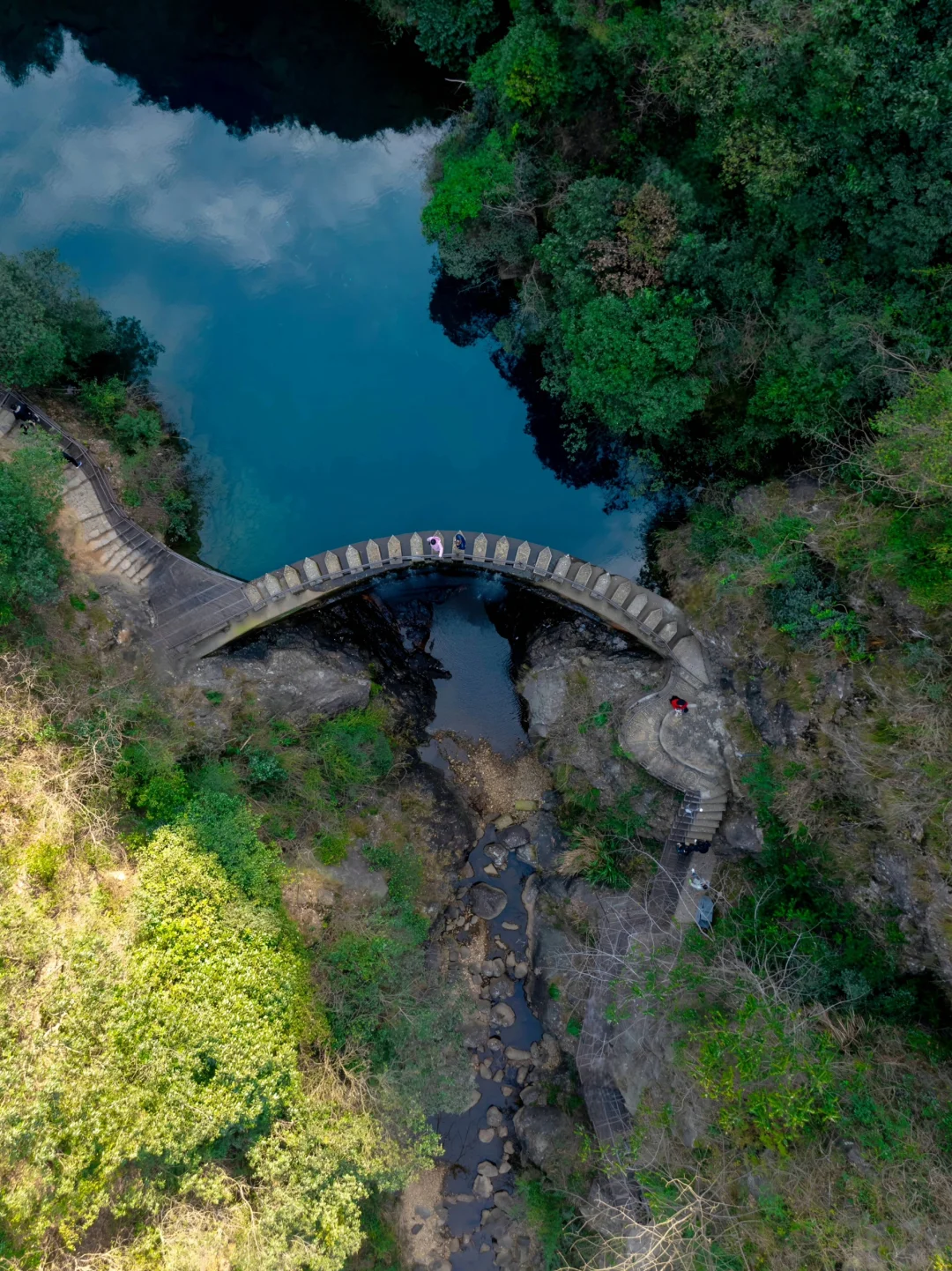 桐庐live到了梦幻仙境❗️