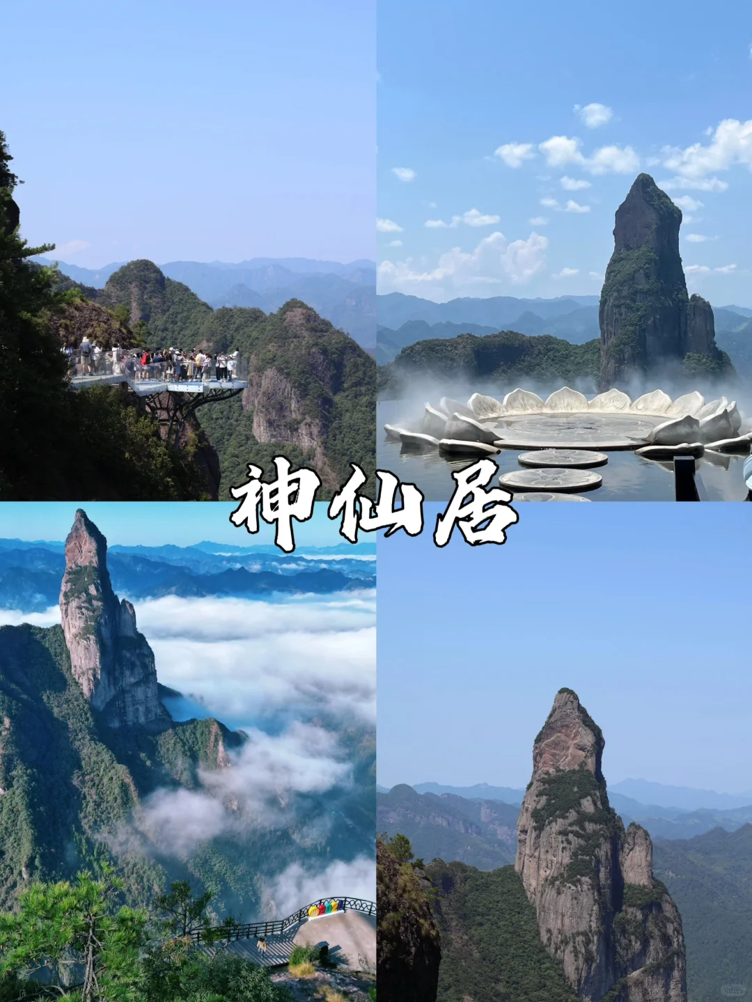 台州真的让人太痛了😭!