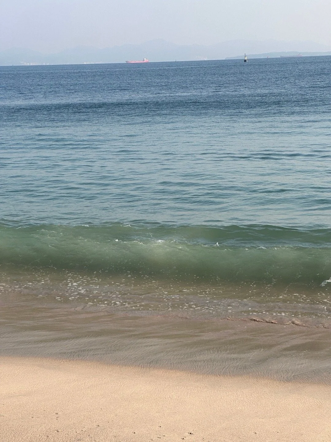 有没有潮汕旅游搭子