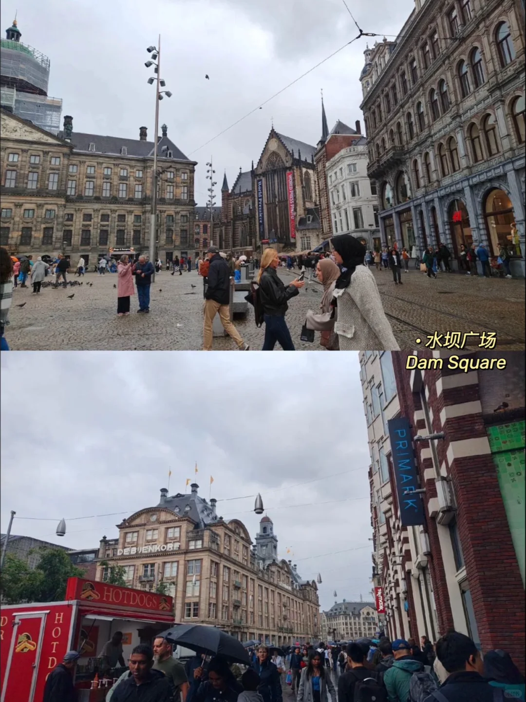 快收藏❗好不容易整理的阿姆斯特丹景点路线