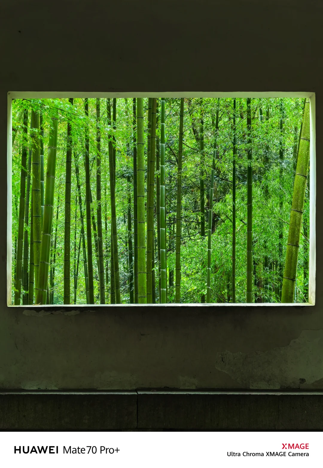 如果你来杭州，我不会让你去西湖‼️