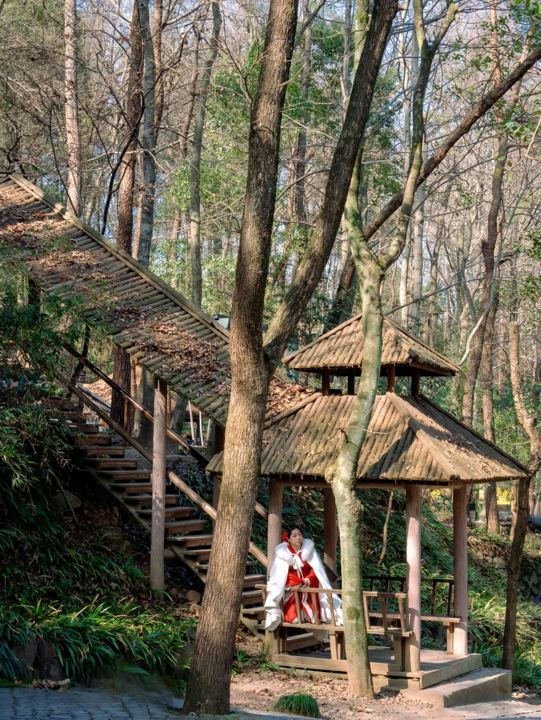 桐庐live到了梦幻仙境❗️