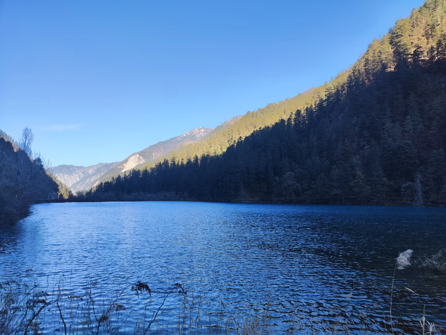 四小时速通九寨沟超详细版