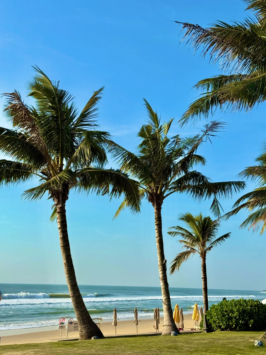 1.13📍三亚现状...在崩溃边缘😭