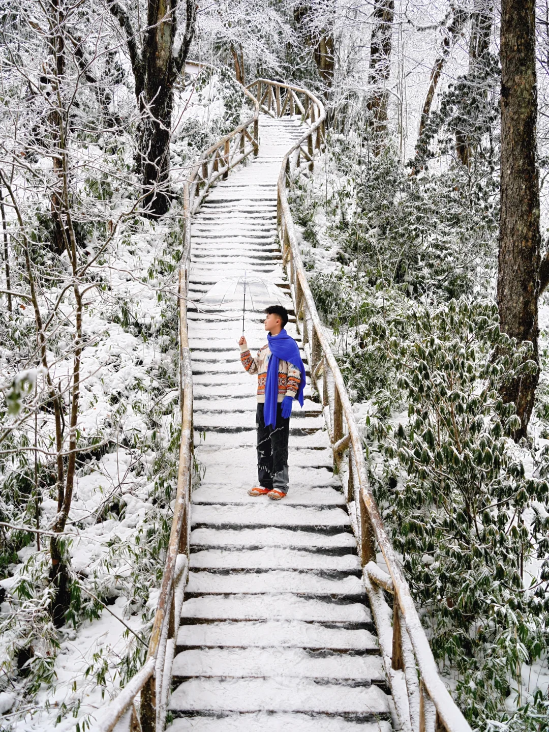 美到炸裂！真没去国外！！就在成都周边！！！