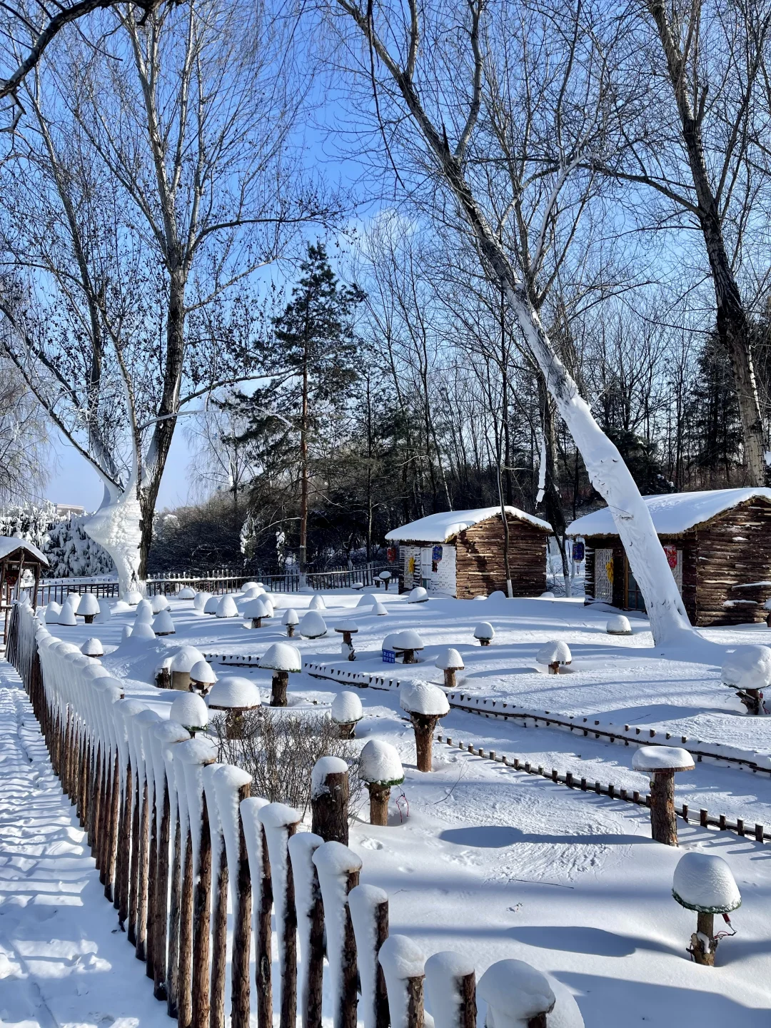 Live图的意义❄️感受长春的绝美冬天