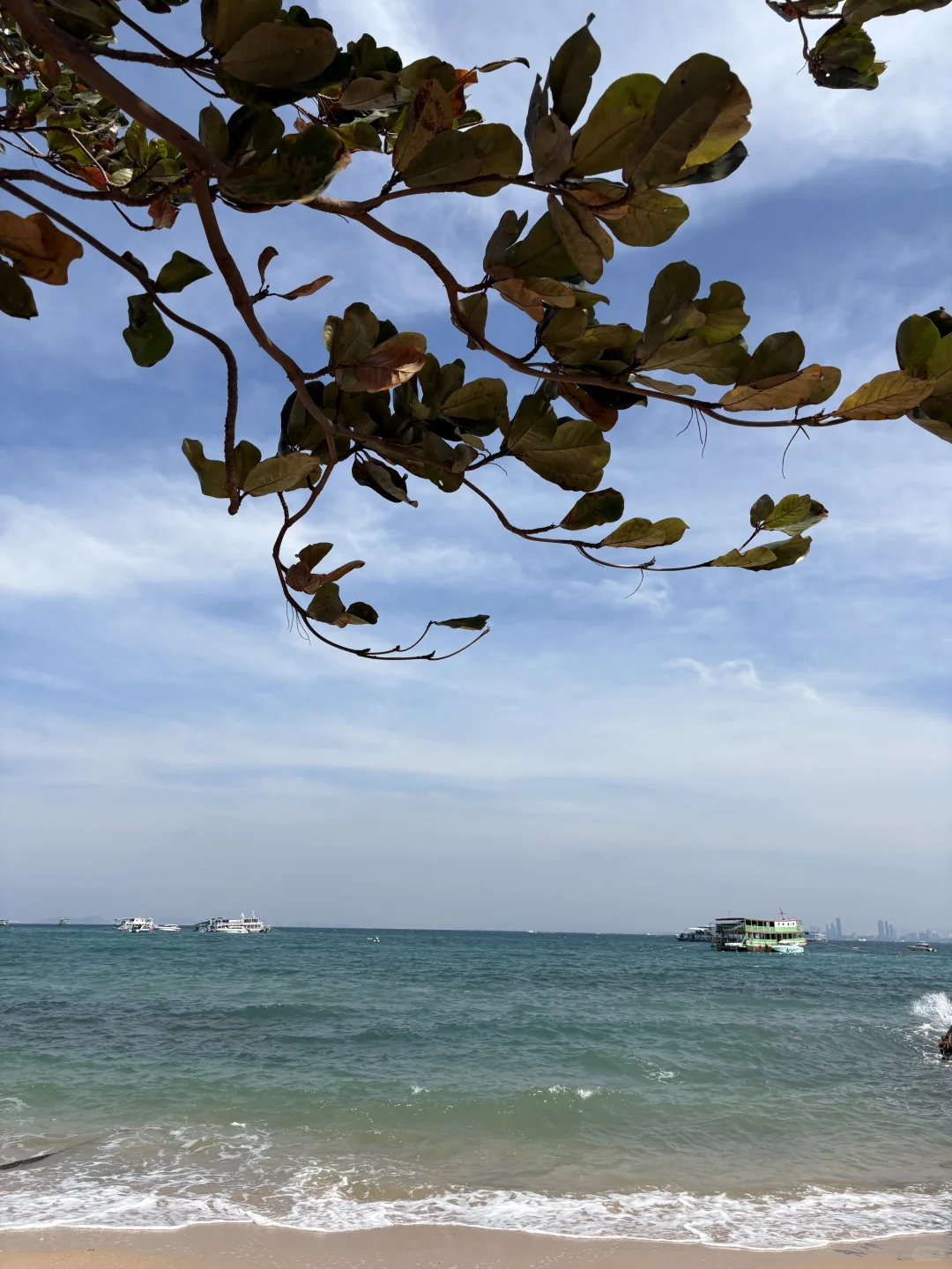 泰国真的很好玩（戒断反应）