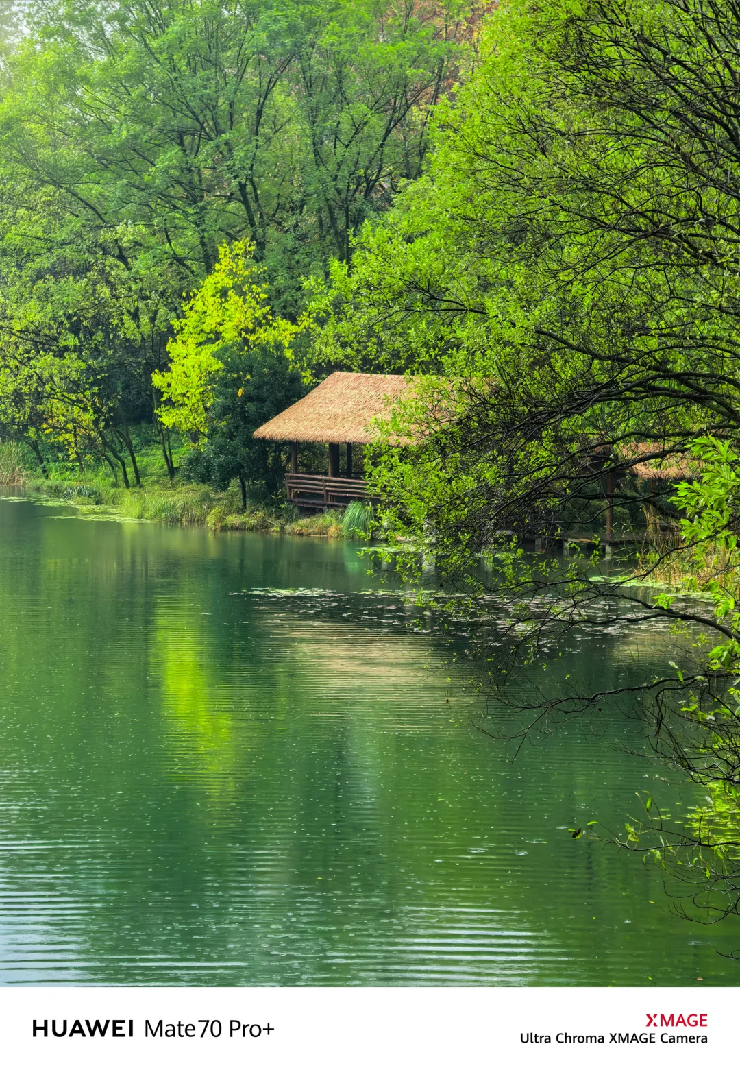如果你来杭州，我不会让你去西湖‼️
