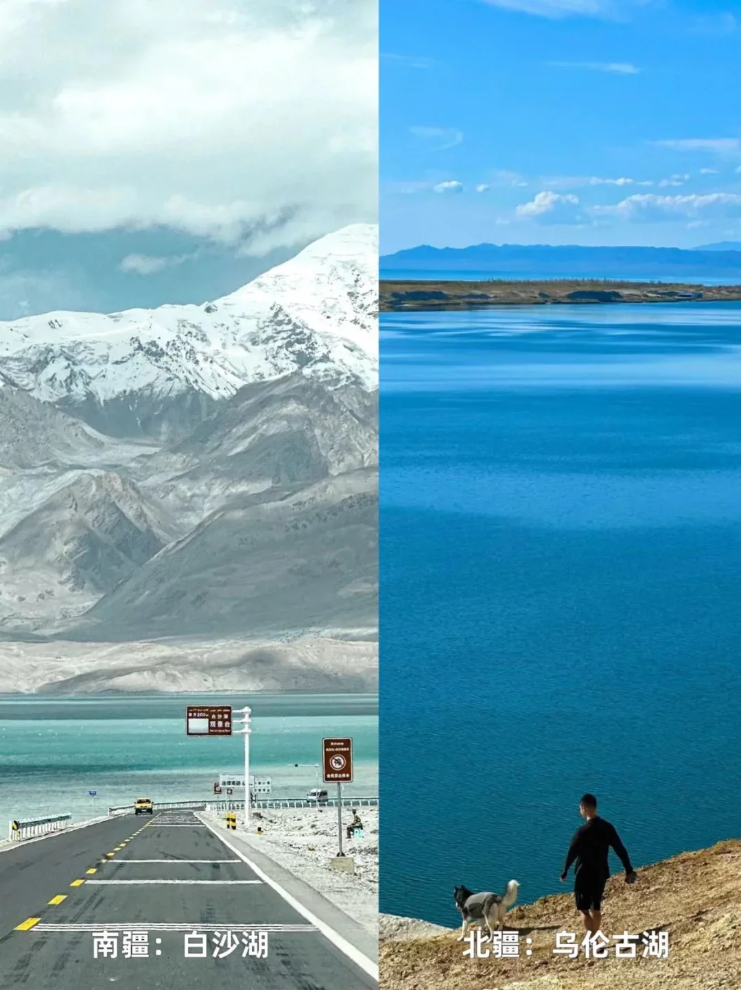 7🈷️-8🈷️来新疆|南北疆如何选择‼