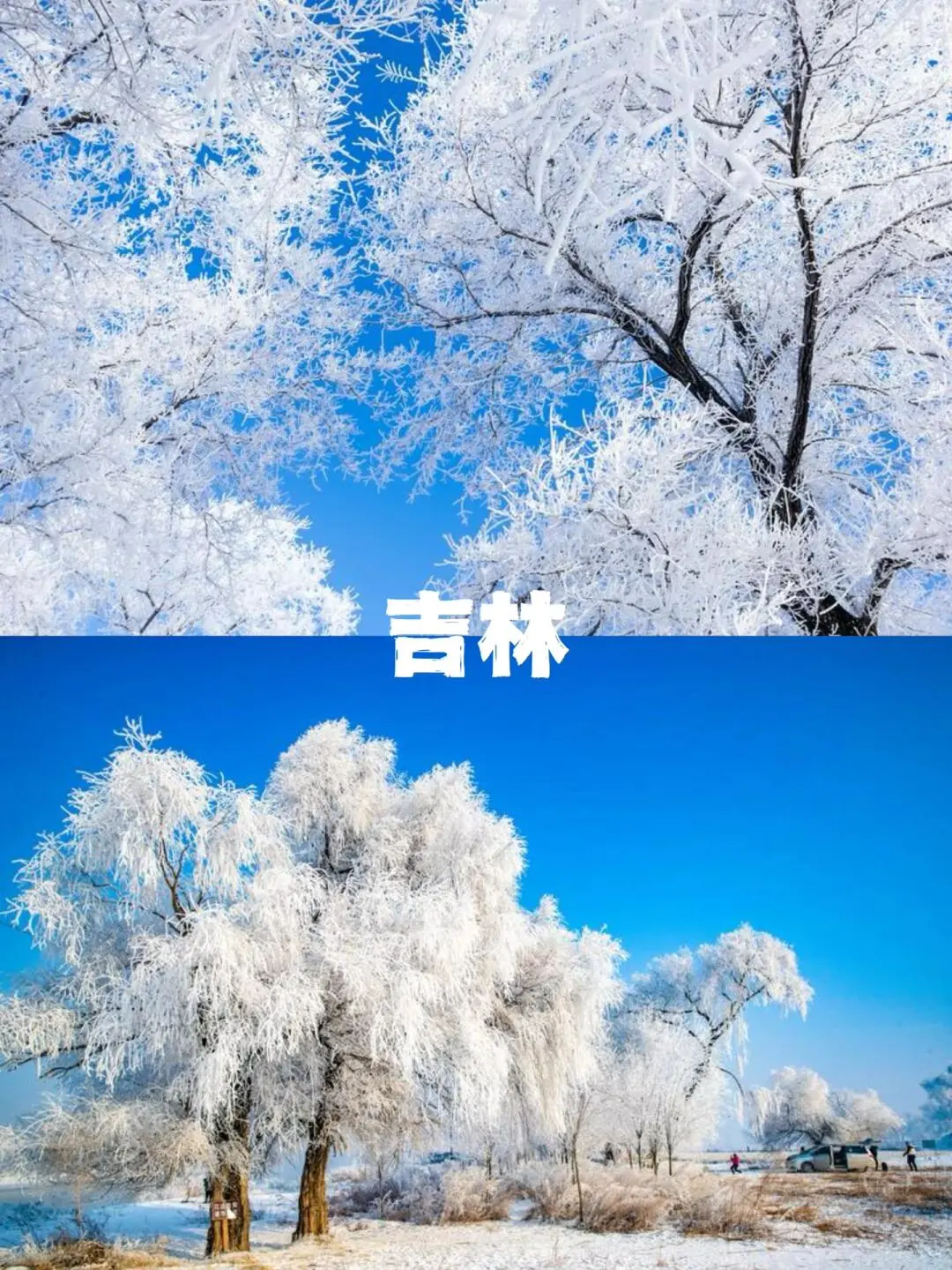 东北三省是黑、吉林、辽