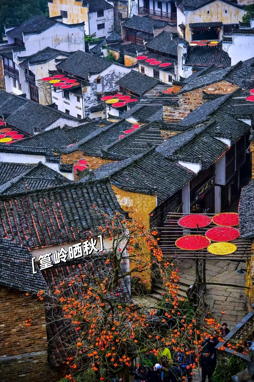 江西旅游5️⃣天4️⃣晚宝藏攻略🤫总要来一次江