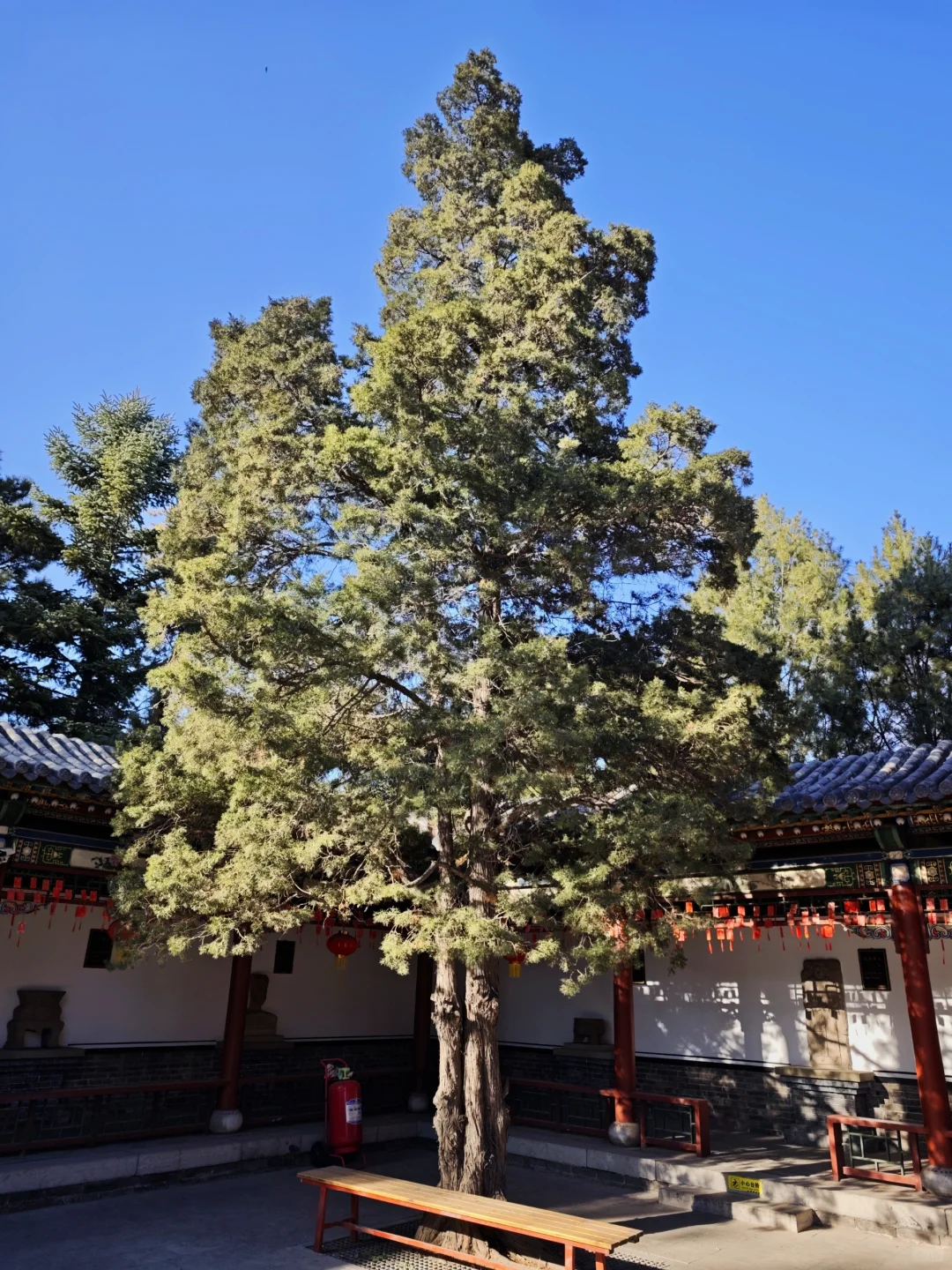 晋祠公园｜太原唐晋博物馆