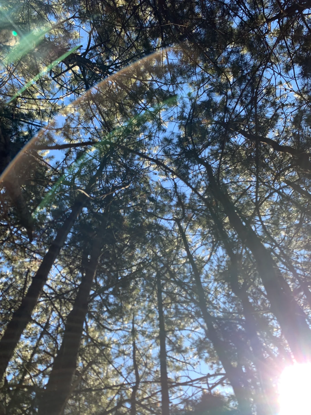 就在邯郸武安 ——周末还有一公里🚀🚀🚀