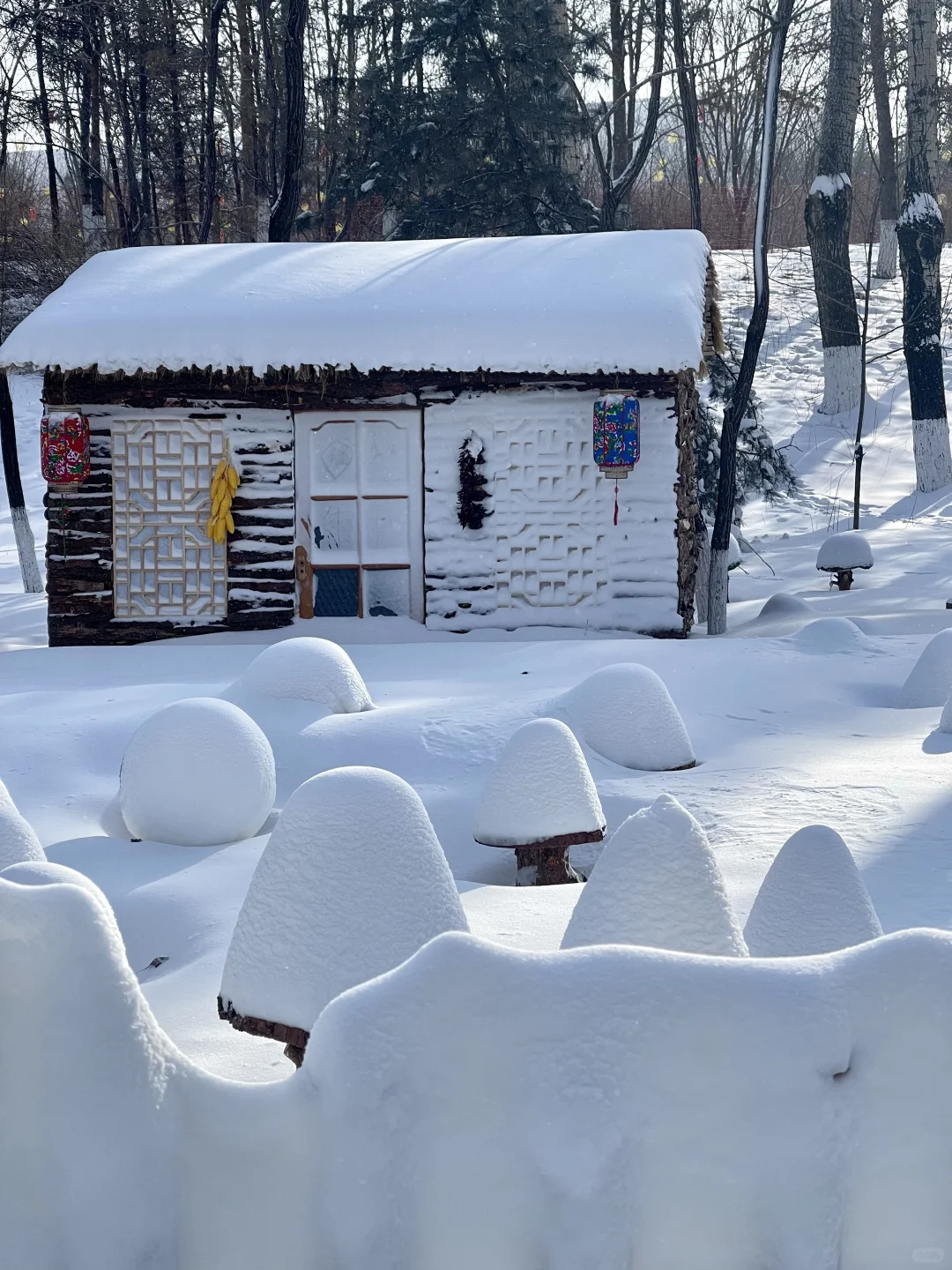 Live图的意义❄️感受长春的绝美冬天