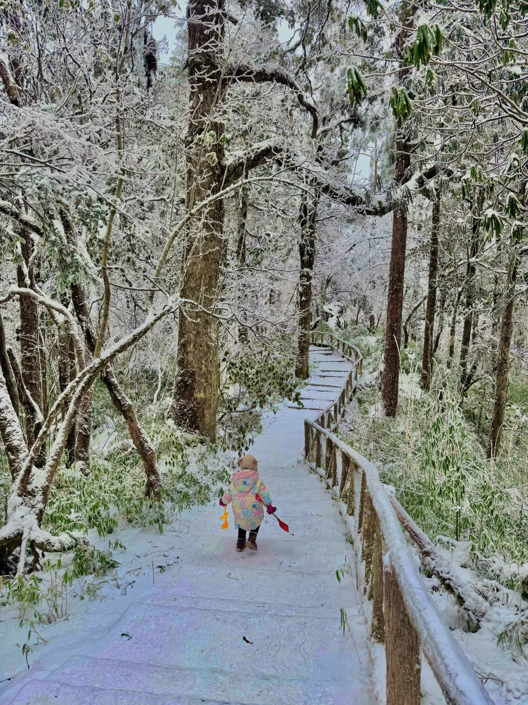 美到炸裂！真没去国外！！就在成都周边！！！