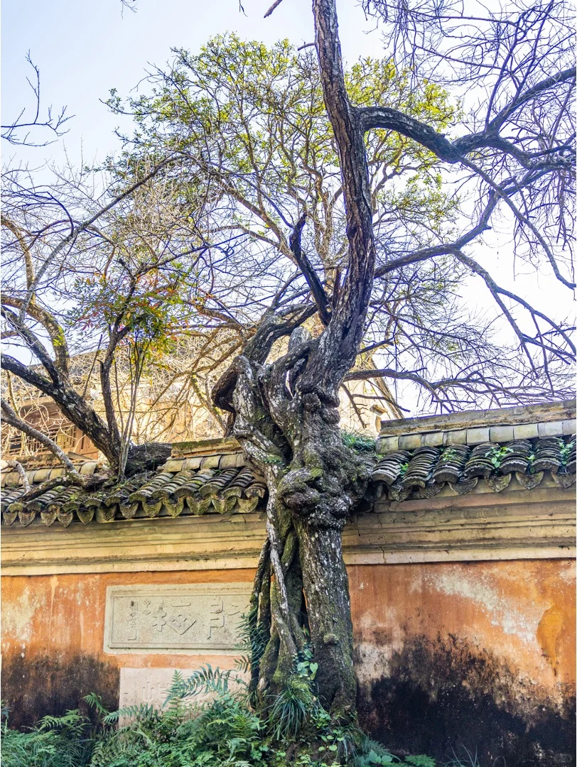 比起灵隐寺，我更爱杭州周边的天台山国清寺
