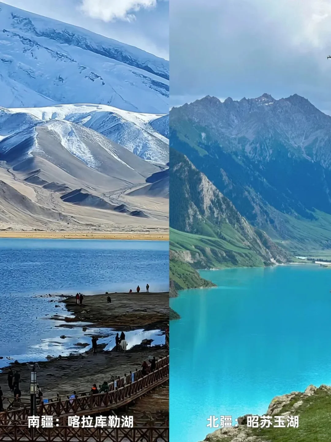 7🈷️-8🈷️来新疆|南北疆如何选择‼