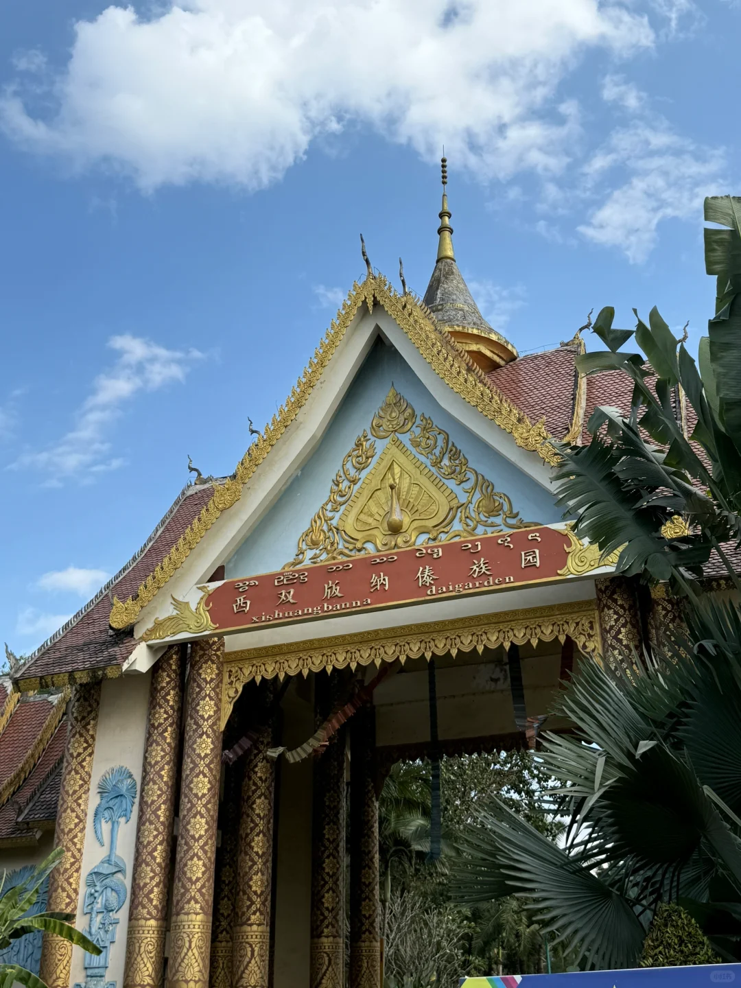 西双版纳4️⃣天3️⃣夜 景区红黑榜➕打卡攻略