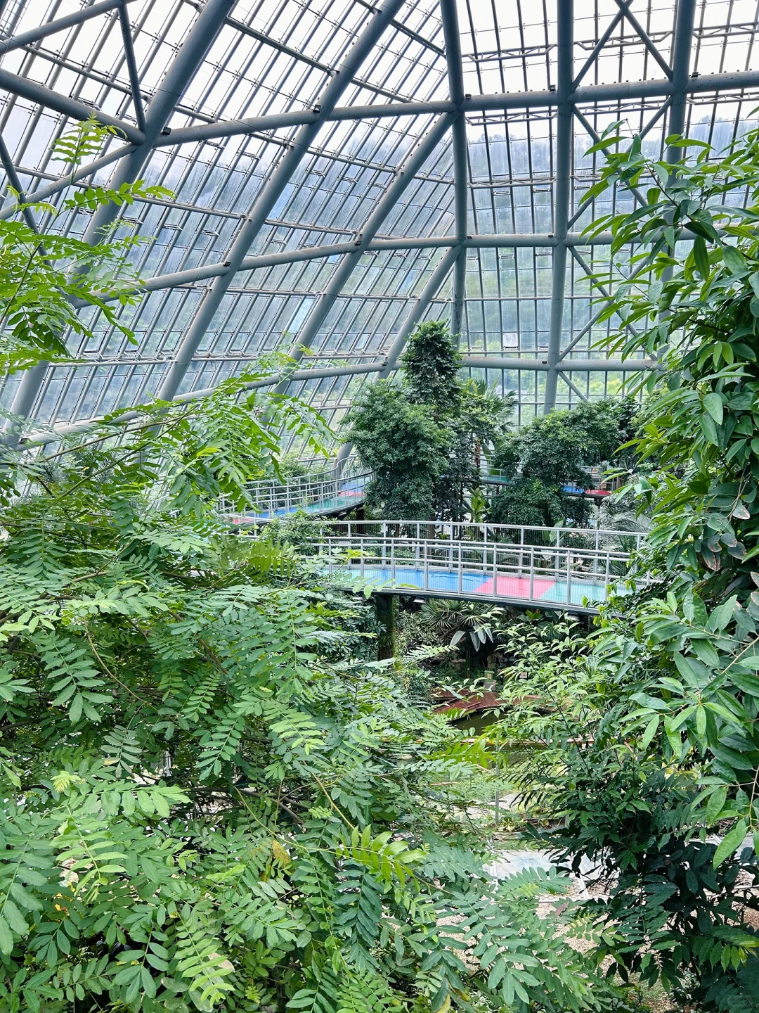 04男大📍惠州一日游City超详细旅游攻略‼️