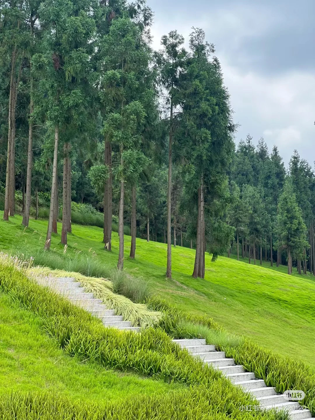 挑战100个成都周边小众旅行地之朴那雅🍃