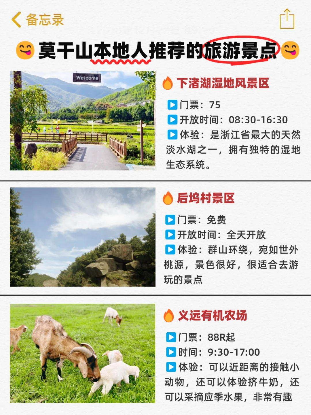 莫干山旅游景点小妙招，超实用的！！