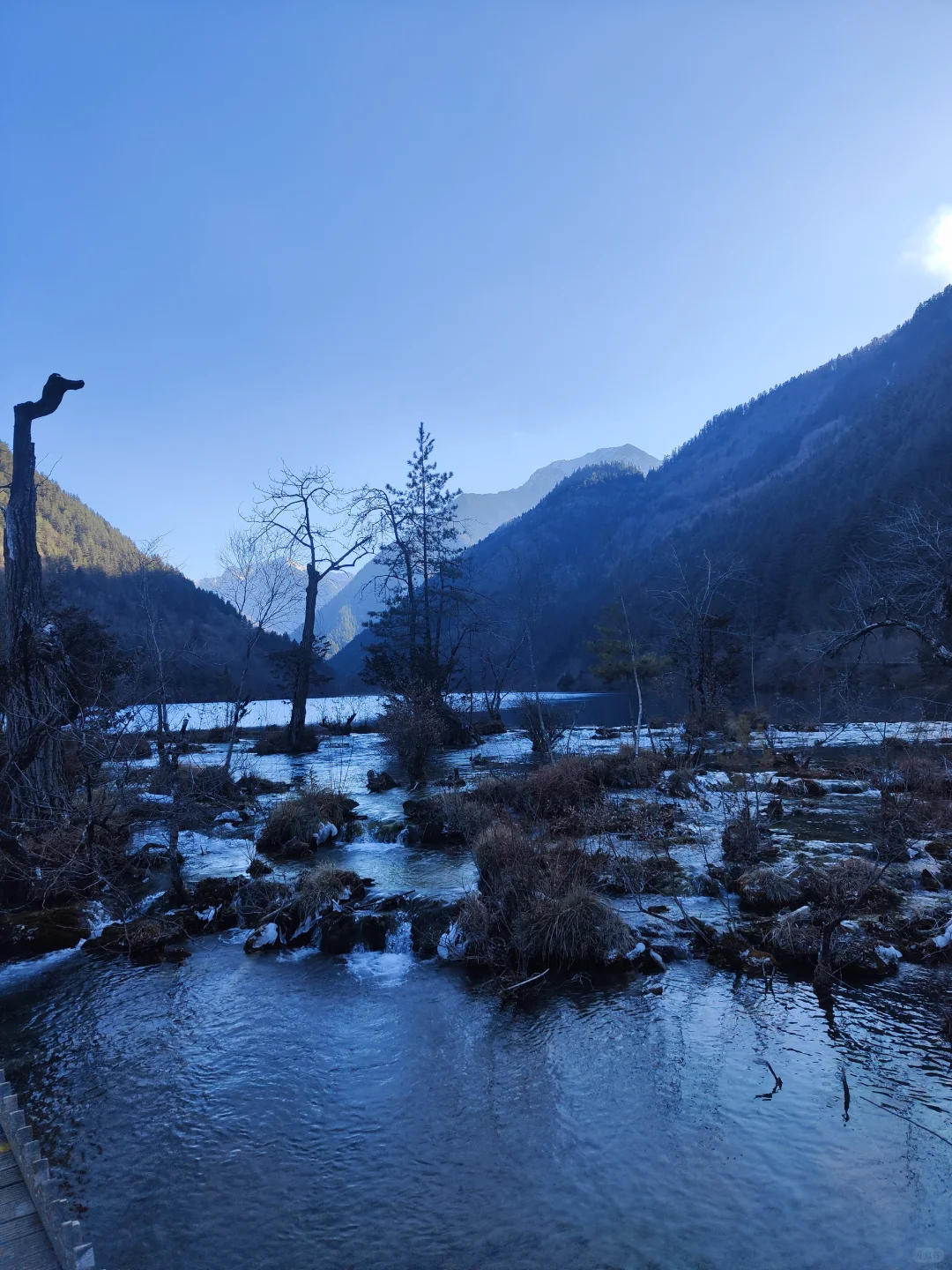 四小时速通九寨沟超详细版