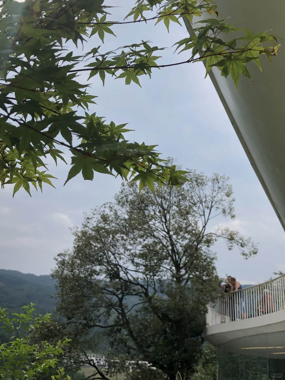 挑战100个成都周边小众旅行地之朴那雅🍃