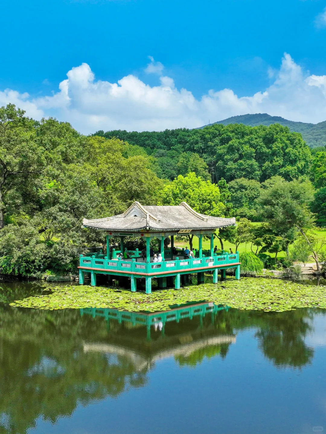 夏天来南京｜推荐你去这10个景点