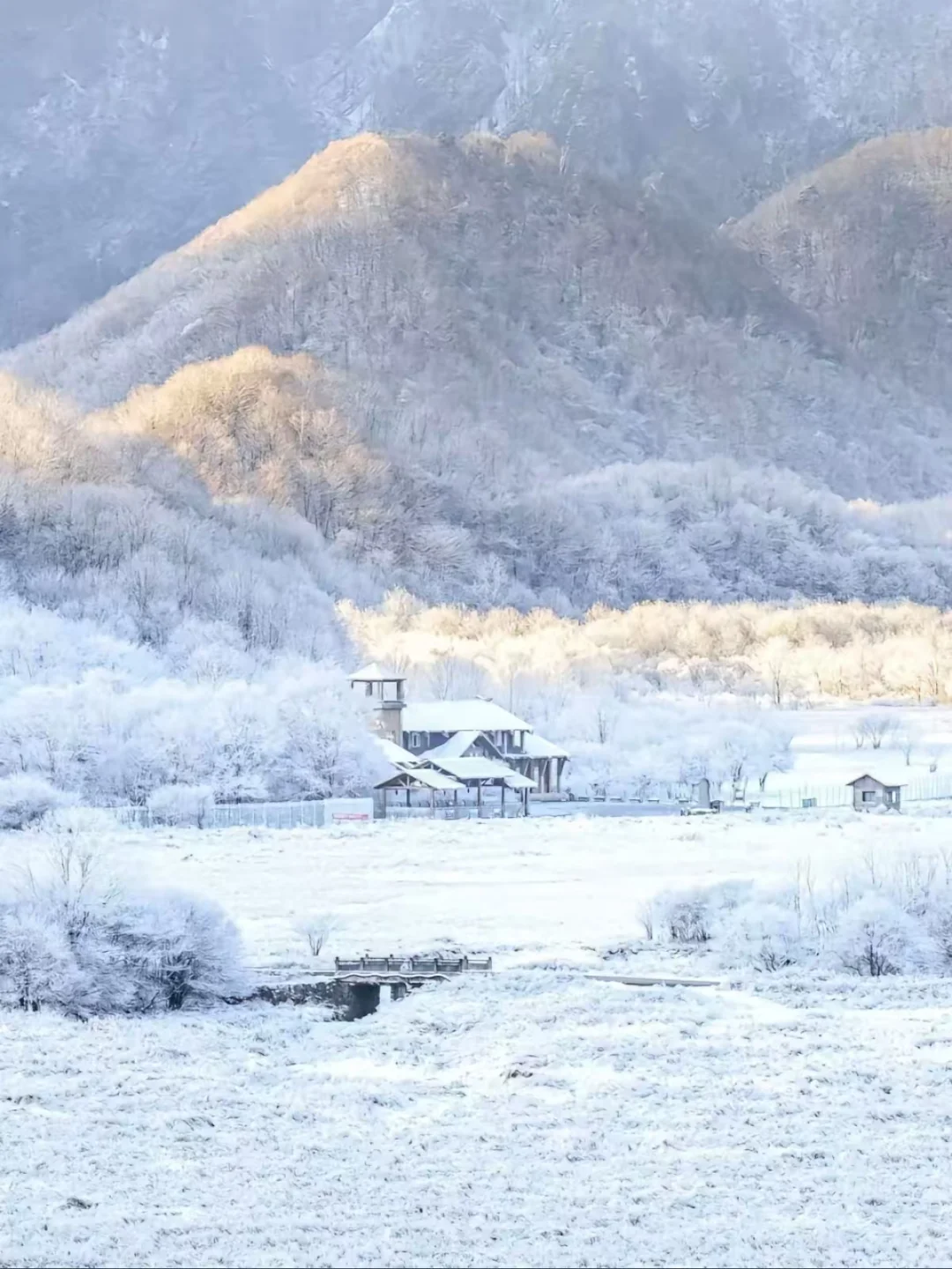 冬天的神农架真的美惨了啊