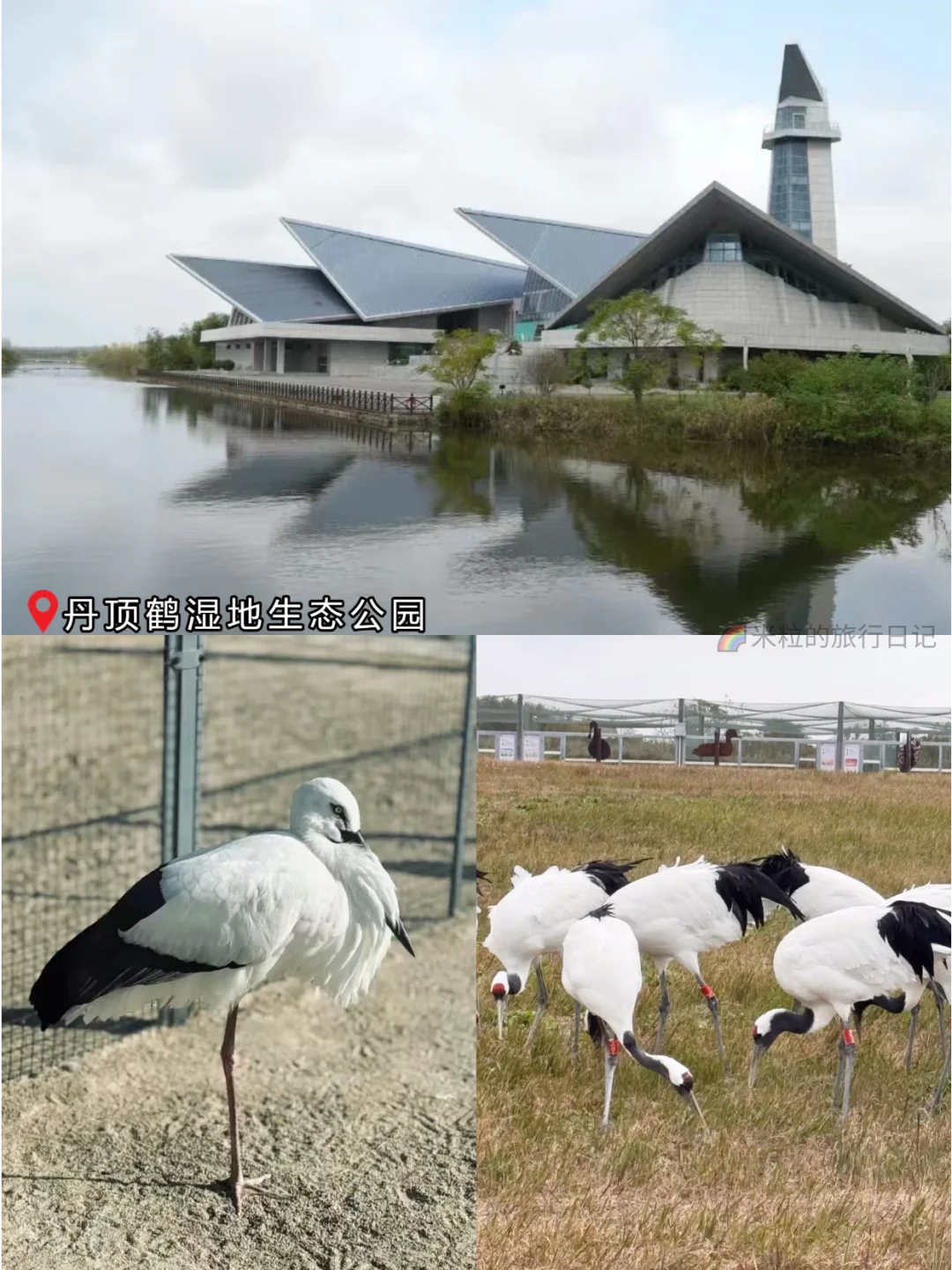 冬游盐城丨2天1晚citywalk版旅游攻略