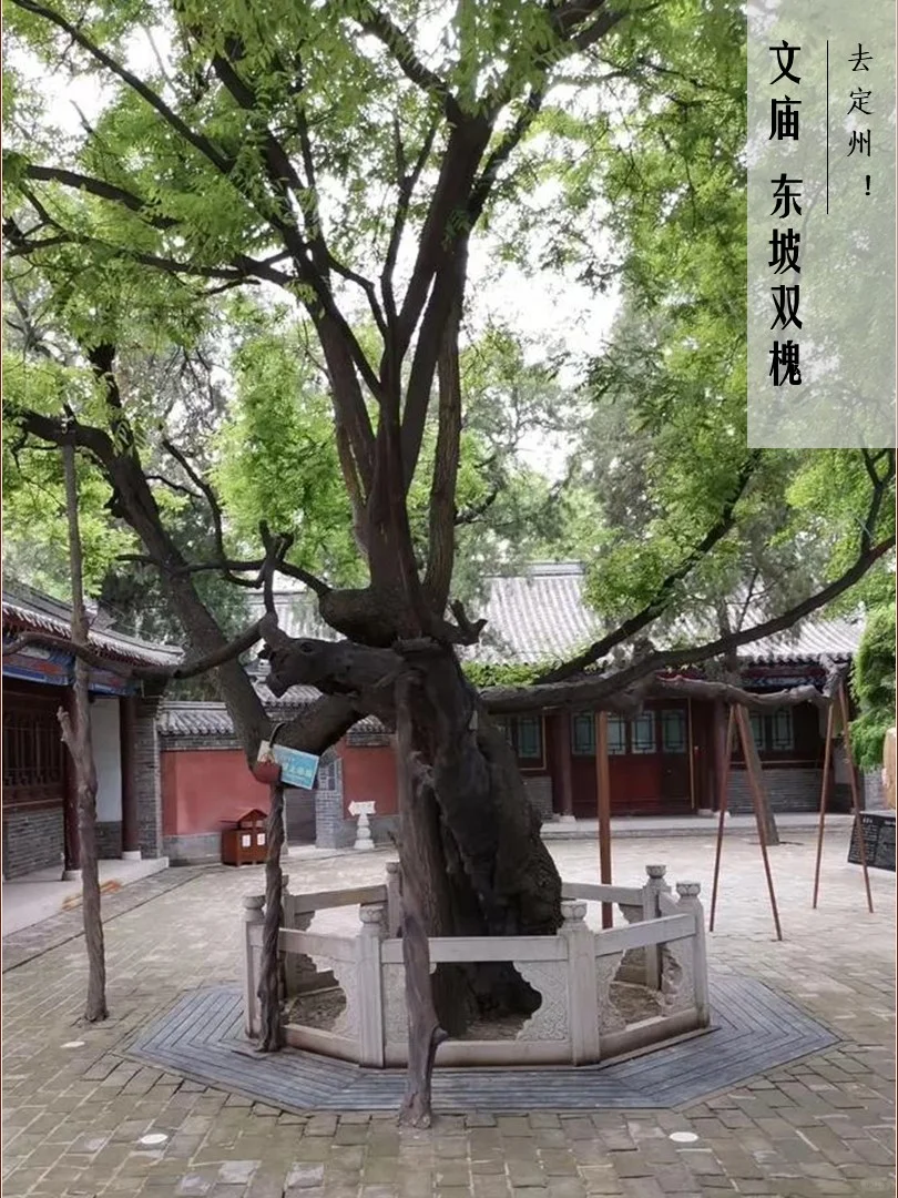 周末计划 | 河北定州一日游 北京周边闲逛