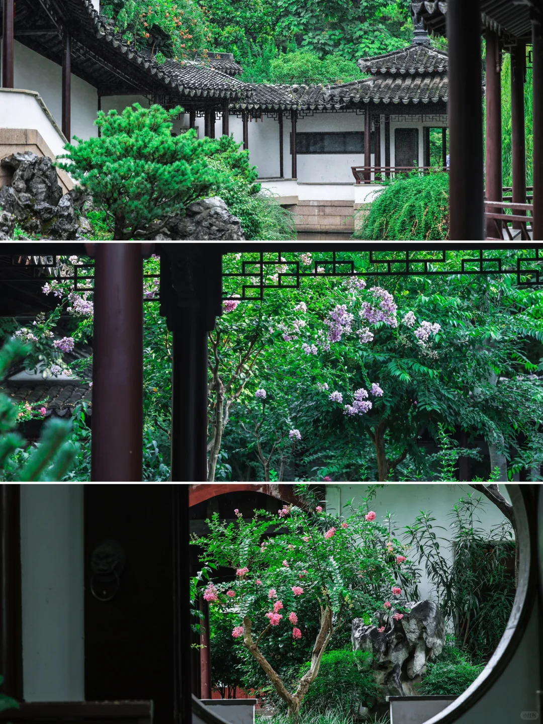 夏天来南京｜推荐你去这10个景点