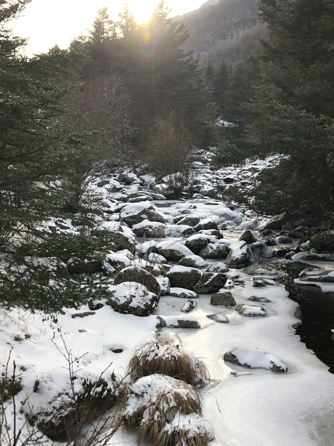 听劝去了神农架 美到失语❗️❗️❗️