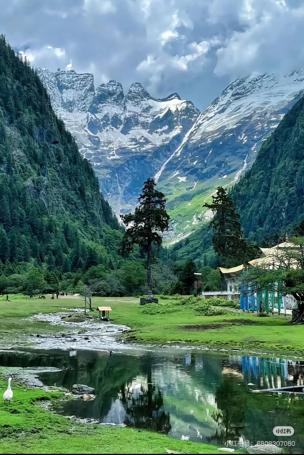 香格里拉｜最美的地方之一🏔️