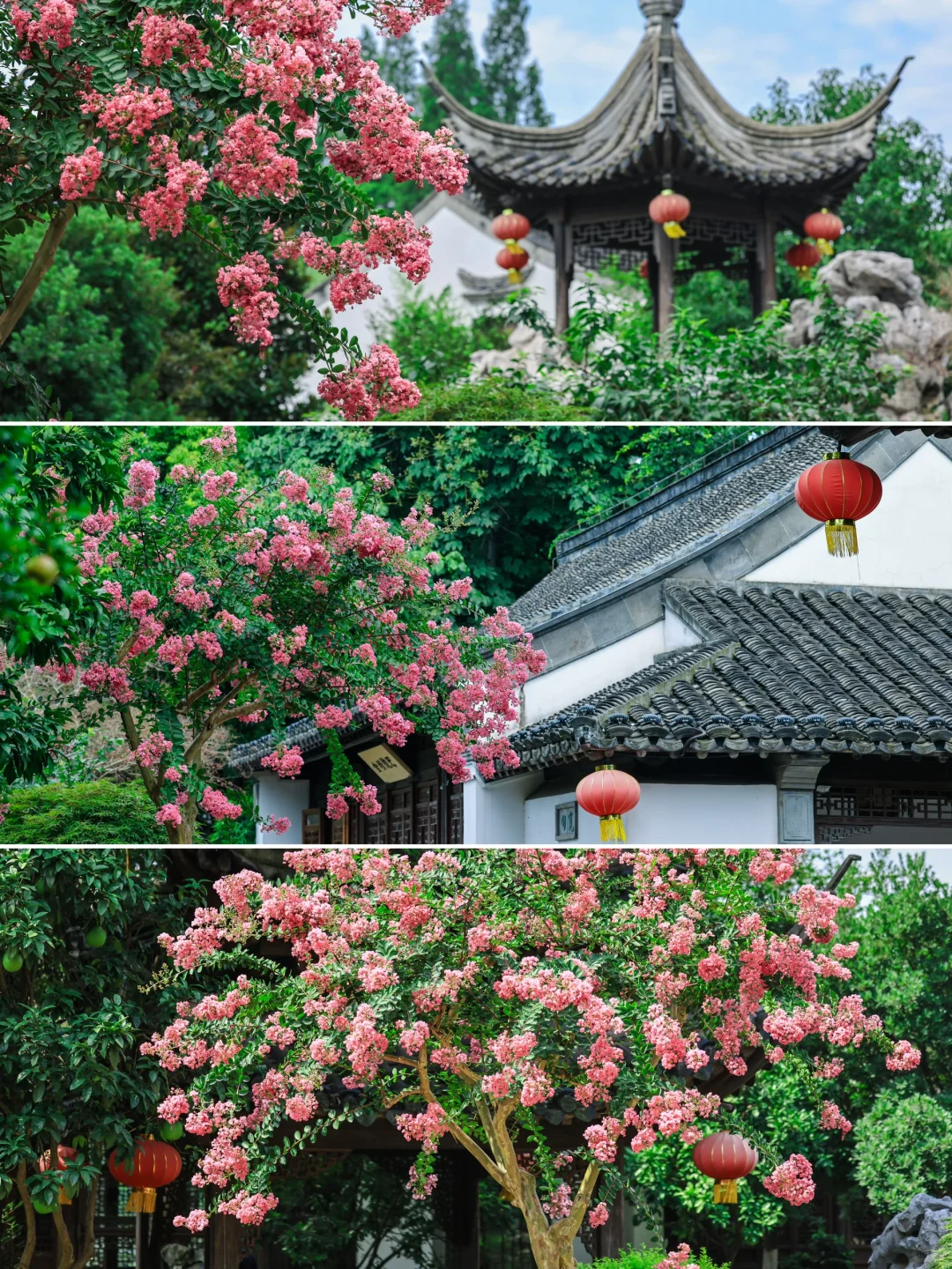 夏天来南京｜推荐你去这10个景点