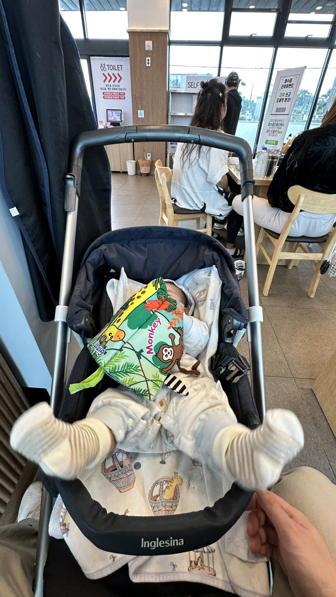 想看看你们带六月龄宝宝去哪里旅游了？