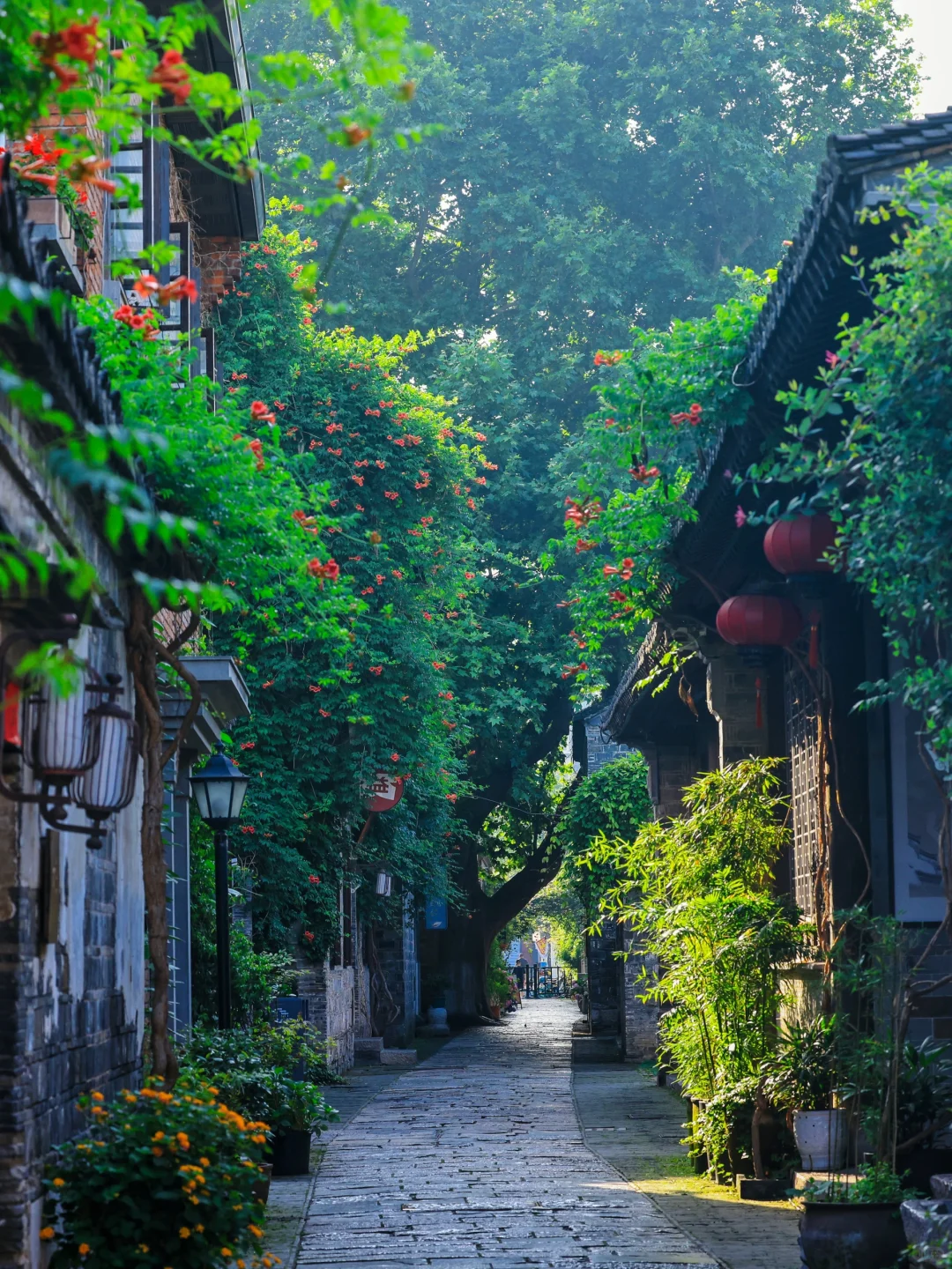 夏天来南京｜推荐你去这10个景点