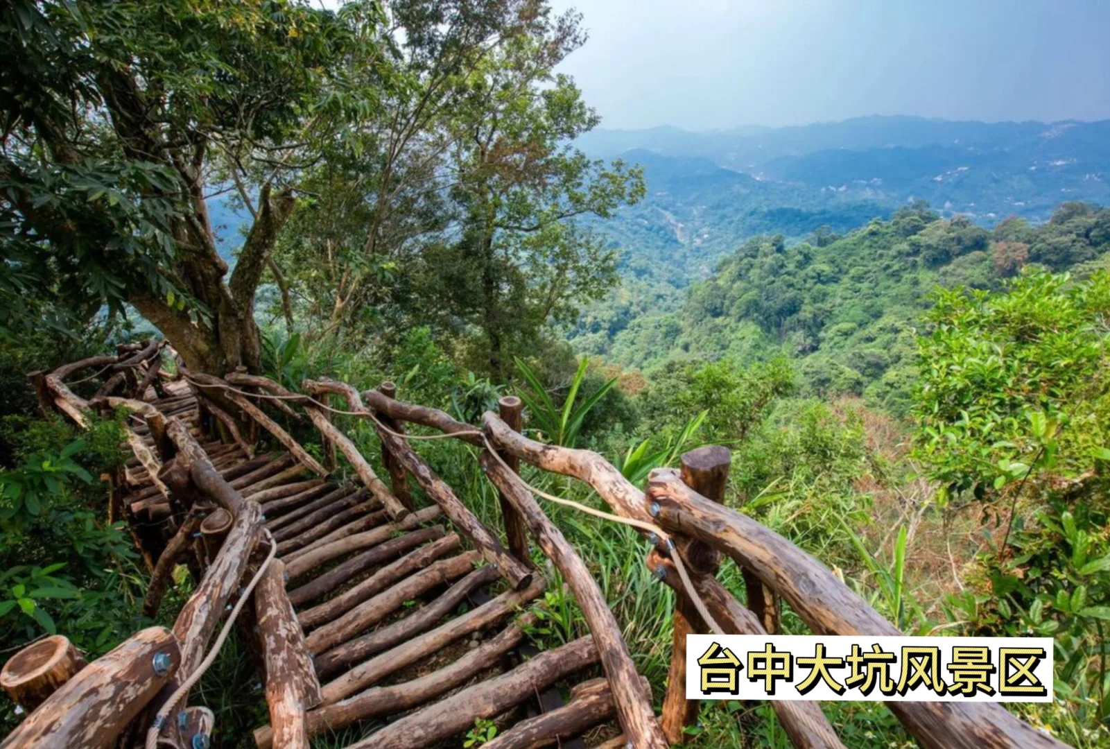 ✈️先出发再说 l 8个台中必游景点🌟建议收藏