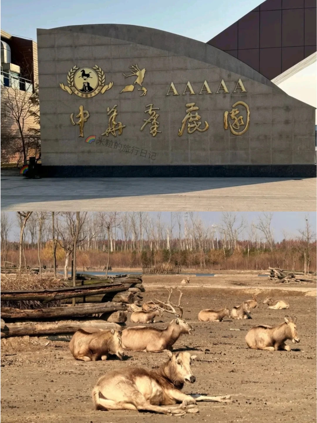 冬游盐城丨2天1晚citywalk版旅游攻略