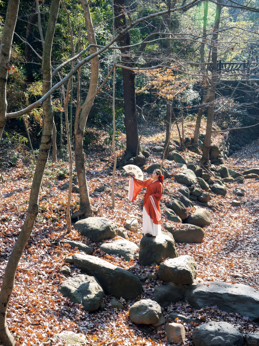 桐庐live到了梦幻仙境❗️