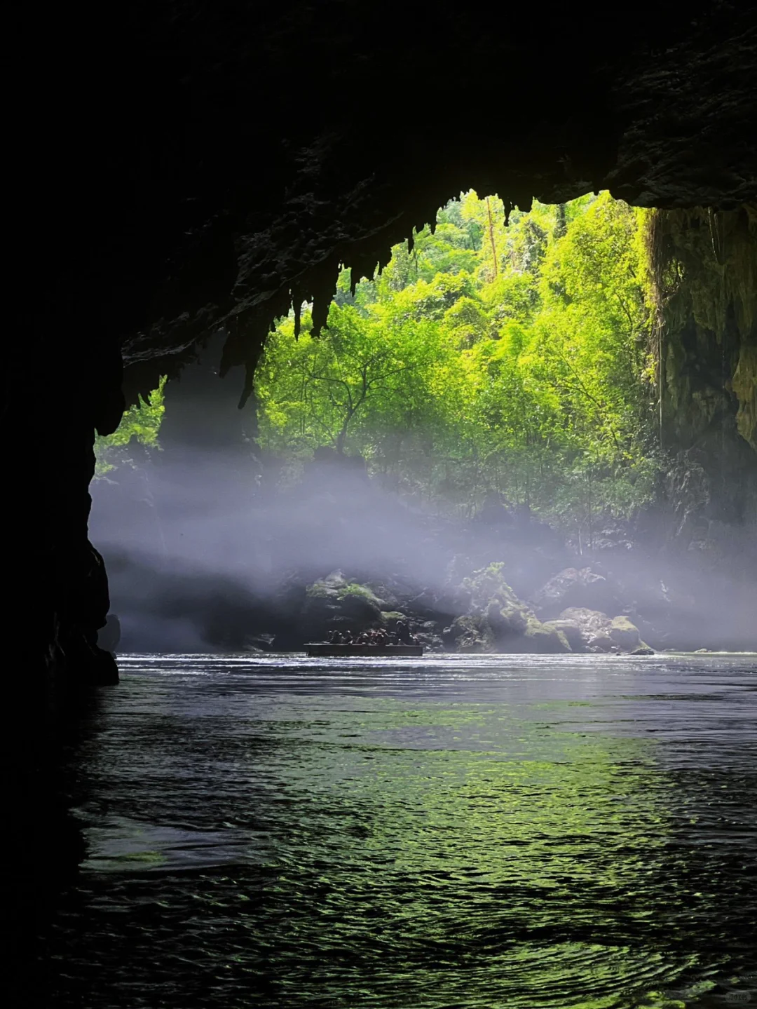 刚从广西回来，冬日不踩雷攻略请收好😍