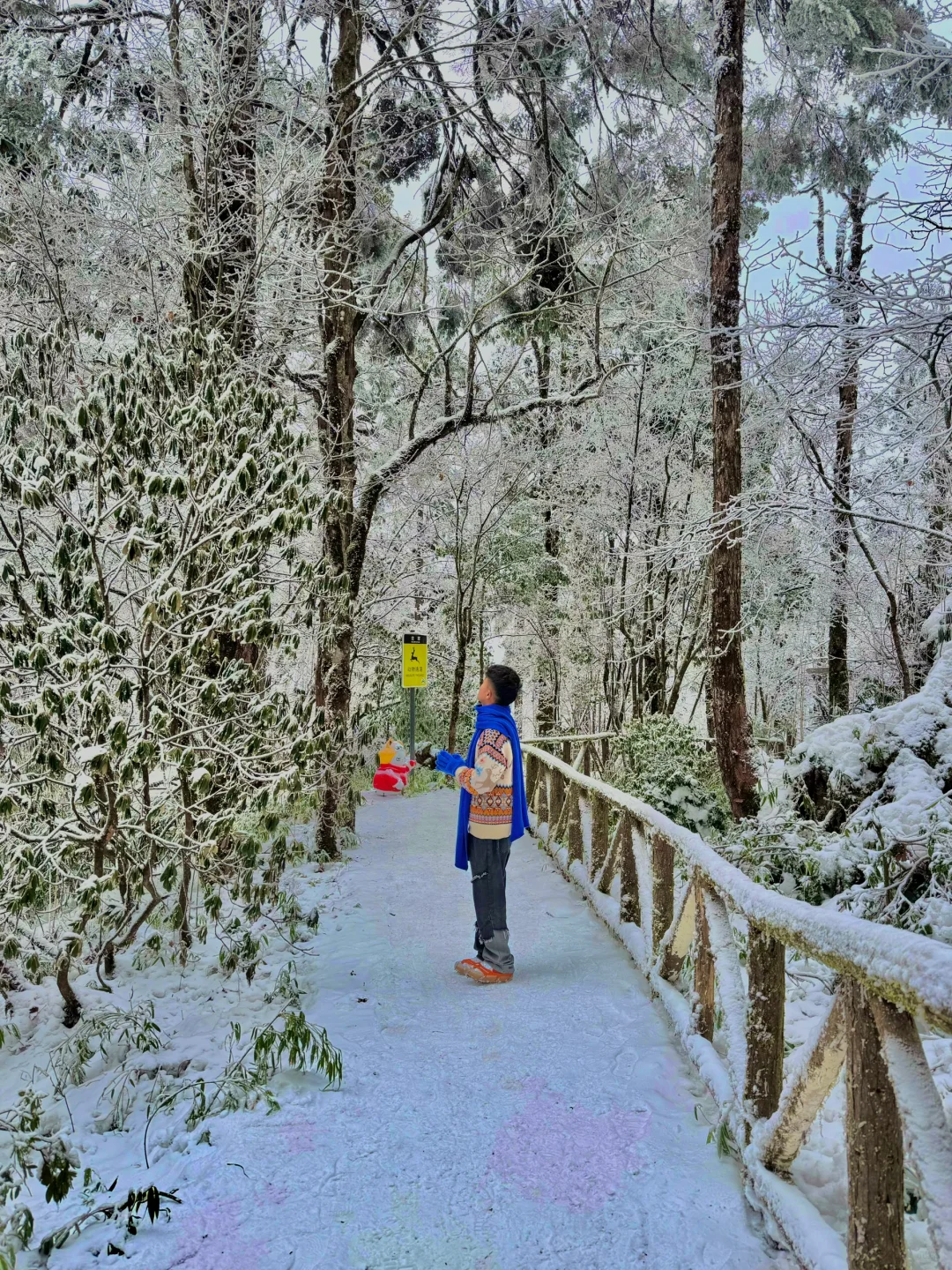 美到炸裂！真没去国外！！就在成都周边！！！