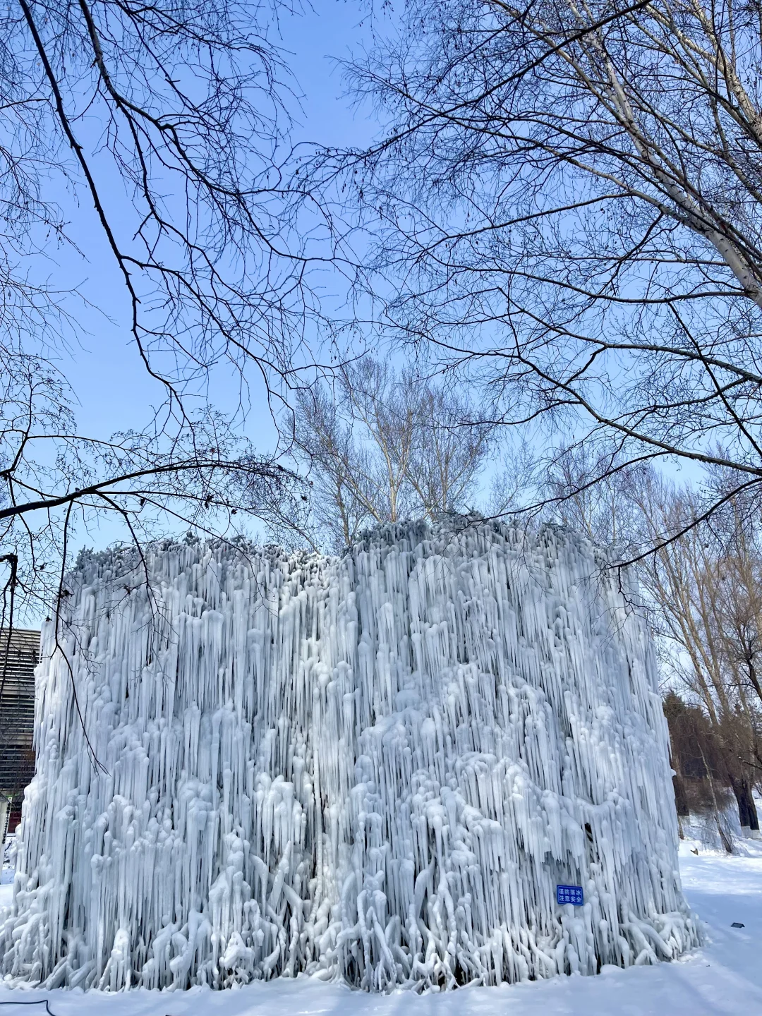 Live图的意义❄️感受长春的绝美冬天