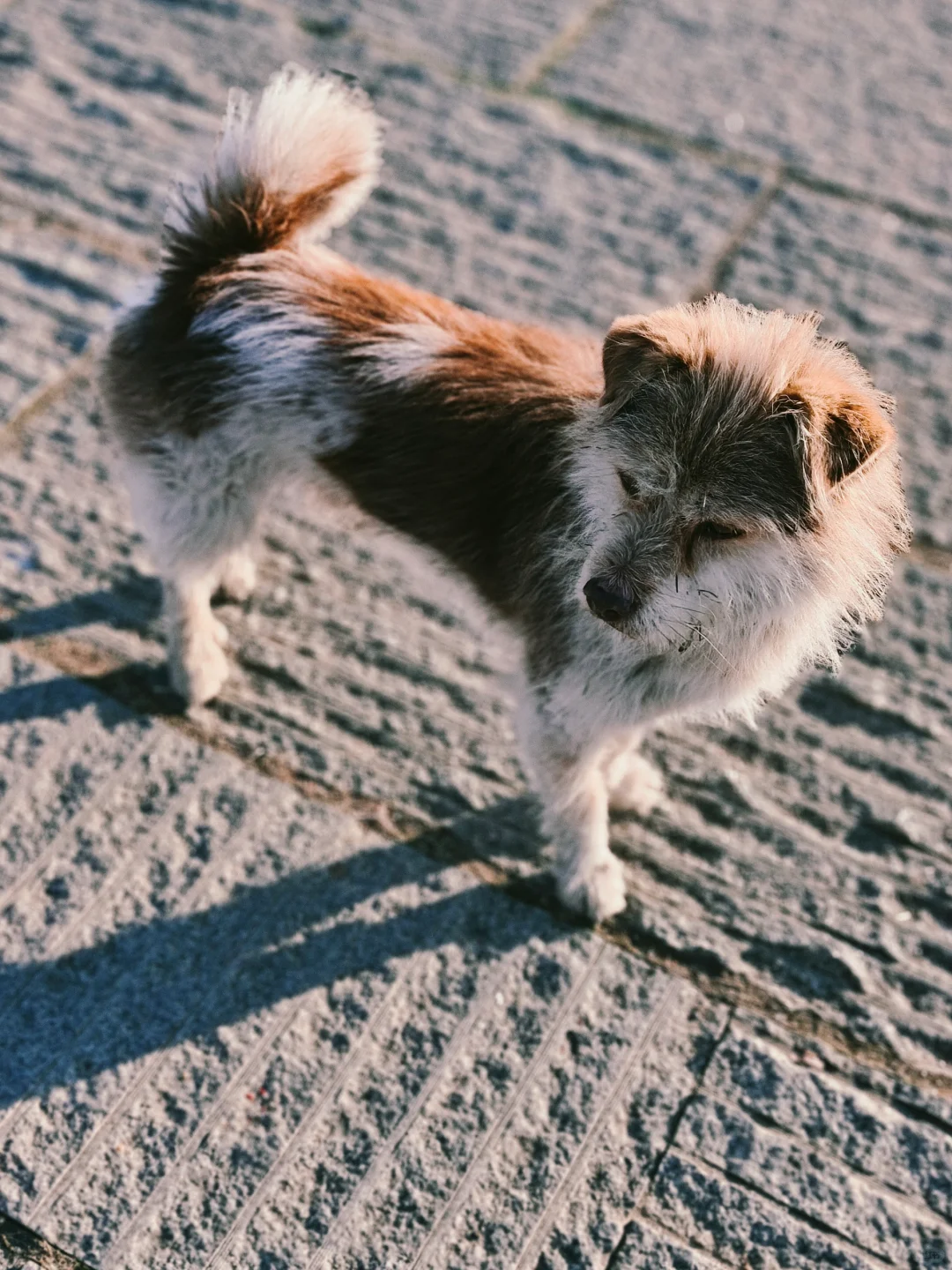 打卡冬日南屏景区